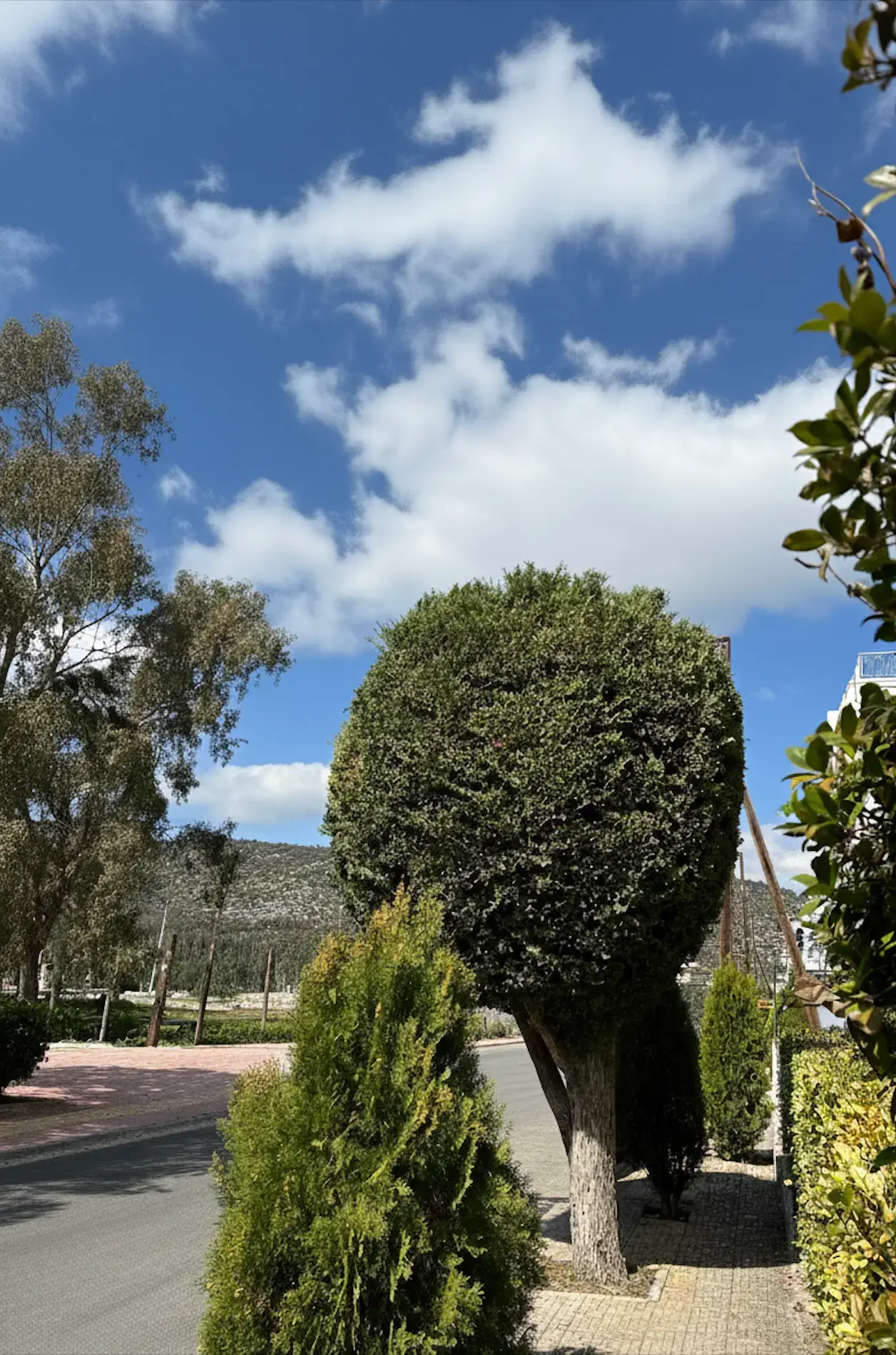 Σύγχρονος εξωτερικός χώρος