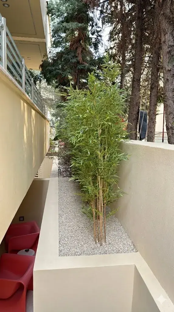 Εξωτικός κήπος σε στενό αίθριο