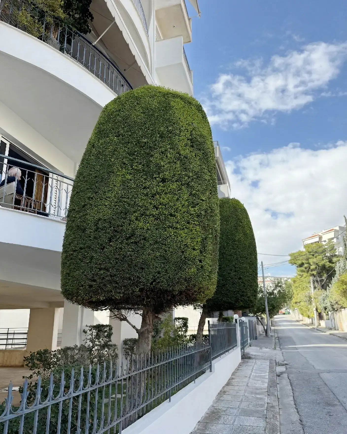 Περιμετρική δενδροφύτευση